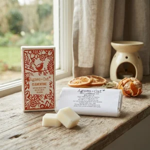 Box of 8 Wax Melts – Clementine | Agnes + Cat
