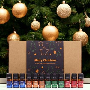 Festive Delights Luxury Christmas Fragrance Oil Gift Set